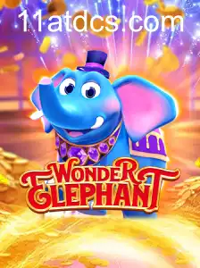 WonderElephant